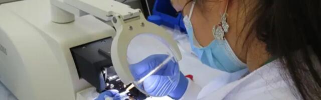 Можно ли победить болезнь Альцгеймера? Ученые считают, что сделают это через 5-10 лет