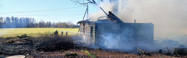 Опасная сухая трава: спасатели тушили пожары, горящий микроавтобус и спасали собаку из болота