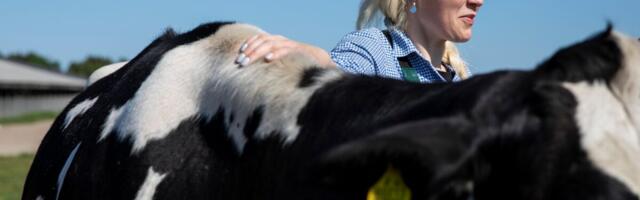 Кооператив, которому принадлежит обанкротившийся завод E-Piim, просит о санации