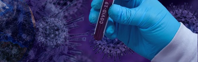 Зафиксировано 584 новых случая коронавируса
