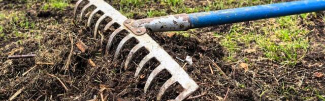 Кивит: Богатые тоже плачут — земельный налог добивает средний класс