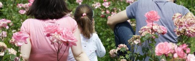 ООН: У многих людей до сих пор нет свободного выбора в вопросах планирования семьи