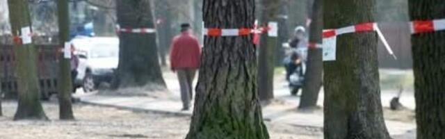 С 15 апреля в городах Латвии запрещено рубить деревья из-за гнездования птиц