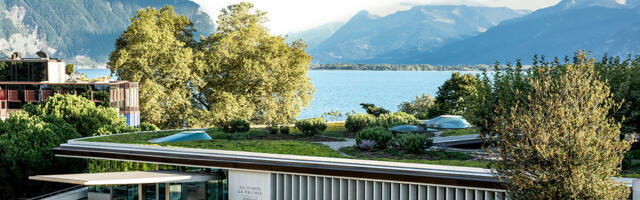 Как измерить свой потенциал жизни: новая диагностика объединяет более 300 маркеров здоровья