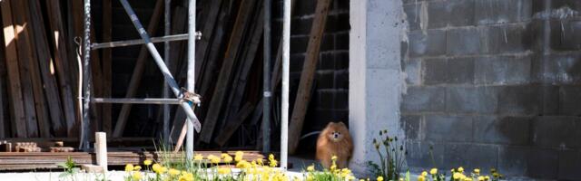 Более 50 000 человек впервые заплатят земельный налог