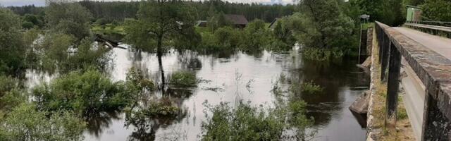 Первая половина июня в этом году в Эстонии выдалась исключительно дождливой
