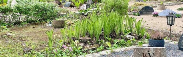 Искусственные цветы на кладбищах не запрещены, но не рекомендованы