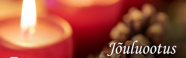 Адвент всегда ассоциировался с ожиданием Рождества и чудес.