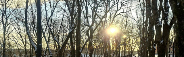 Синоптики: январь в Эстонии будет морозным