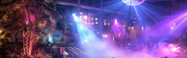 Шоу, световые эффекты и танцы на «фламинго»: в Таллинне пройдет ночная СПА-вечеринка в тропическом стиле