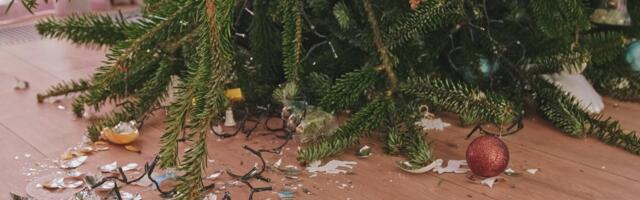 За время праздников полиция получила 605 пугающих вызовов. Довольно!