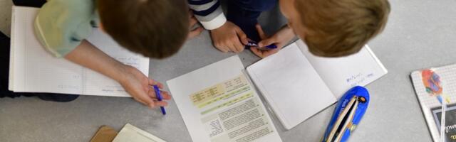 Грицков: Когда министры рисуют радугу, реальность рисует двойку