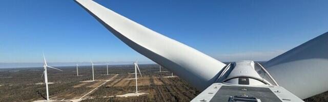 Эрнст Альтман: эстонский народ как источник "регулируемой" электроэнергии