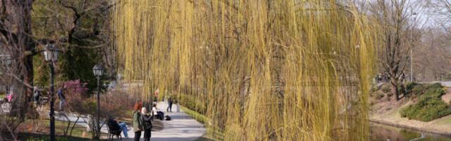 Posms no septembra līdz martam Latvijā — otrais sausākais novērojumu vēsturē