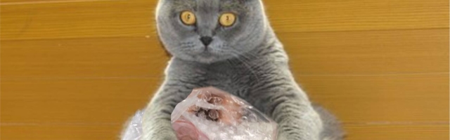 «Почта России» опустила железный занавес для международных посылок