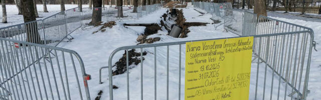 Работы в Тёмном саду остановили из-за нарушений: археологические исследования могут сдвинуть сроки проекта