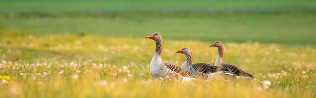 Прогноз погоды до четверга, 22 мая: до 20 градусов тепла!