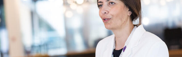 Йоллер: сейчас Таллиннская больница проектируется на основании старых данных