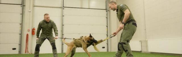 "Горизонт" выяснил, как готовят служебных собак