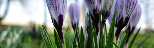 Прогноз погоды до воскресенья, 30 марта: до 16 тепла!