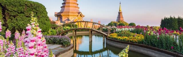 Погружение в природу: 6 эко-идей, за которыми стоит поехать в Таиланд