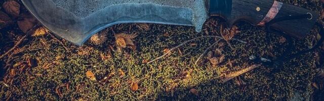 В Силламяэ украли мачете