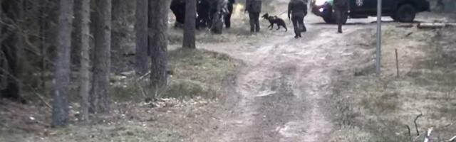 Пограничники Литвы развернули 34 мигранта на границе с Беларусью — максимум в этом году