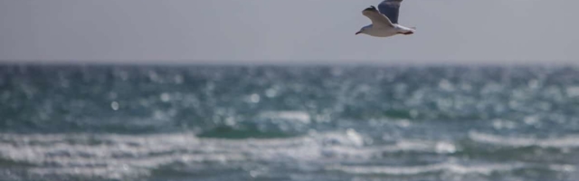 Прогноз погоды в Ида-Вирумаа на вторник, 26 мая