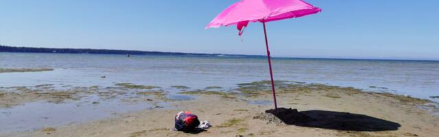 Отпуск в Эстонии мог бы быть 20 рабочих дней, считают в Торгово-промышленной палате