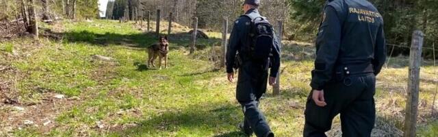 Финские пограничники задержали гражданина Финляндии за незаконное пересечение границы с Россией