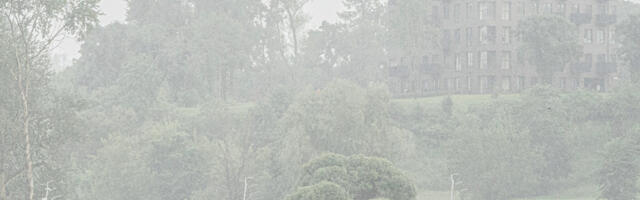 Грозы в четверг не ожидаются только в  Ярвамаа, Йыгевамаа, Ида-Вирумаа и Ляэне-Вирумаа