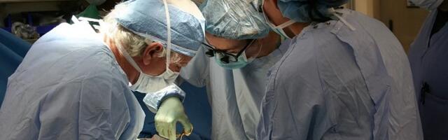 Царьков: Язык в медицине — важен, но кто будет лечить людей через 10–15 лет?