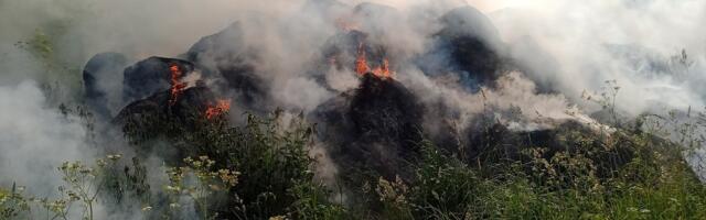 В Ида-Вирумаа и Ляэне-Вирумаа бушует несколько крупных лесных пожаров