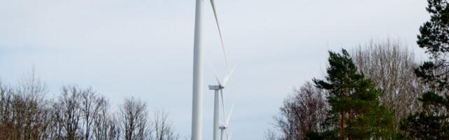 Производство возобновляемой энергии в Эстонии растёт