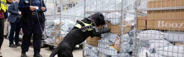 В Европе хотят ограничить мегабум китайских посылок. «Это уже создало серьезные проблемы»