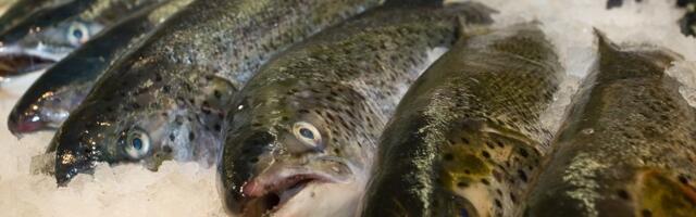 Эстонский производитель рыбной продукции объявлен банкротом