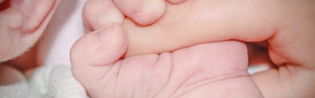 Эксперты: устранение влияющих на рождаемость в Эстонии препятствий обойдётся недёшево