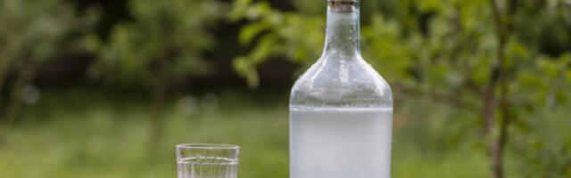 Латвия — главный поставщик водки в Россию в первом квартале 2026 года