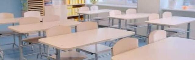 В трех школах нацменьшинств Вильнюса появятся классы с литовским языком обучения