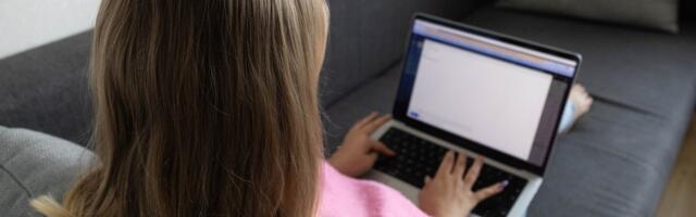 Каждый третий житель Эстонии в отпуске работает дистанционно 