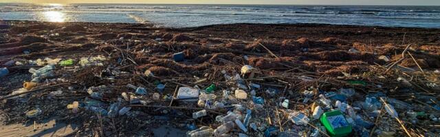 TalTech: микропластик в Балтийском море возвращается к нам через пищу и воду