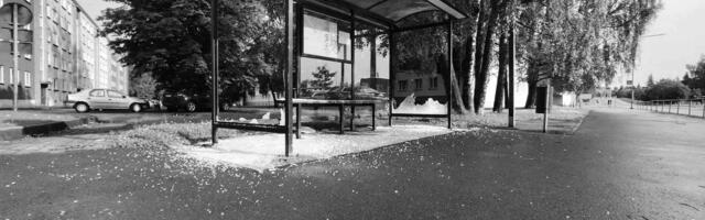 «Это буянство, которым занимаются только необразованные»