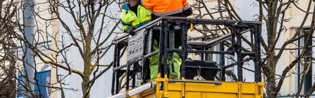 В Таллинне начинается следующий этап реконструкции троллейбусной контактной сети