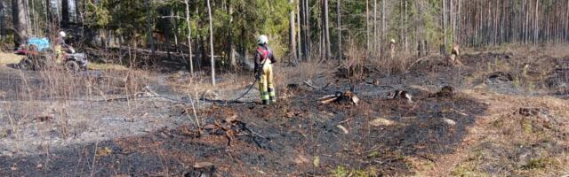 Весенние пожары: спасатели ликвидировали десятки возгораний в Южной Эстонии