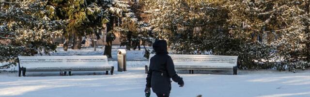 Решение пересмотрено: пярнуские власти отказались от идеи посыпать тротуары солью