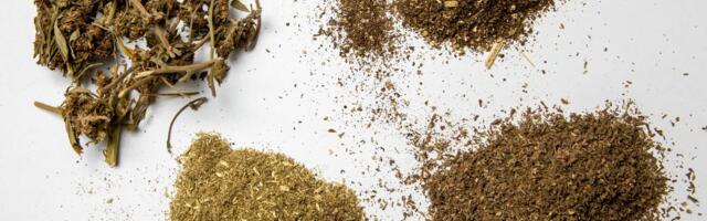 Конопля, амфетамин, кокаин: наркопотребление растет по всей Эстонии