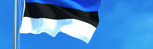 В честь 136-летия эстонского триколора   вывешены государственные флаги