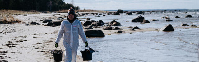 Уборка мазутного загрязнения у берега Лахемаа продолжится и на следующей неделе