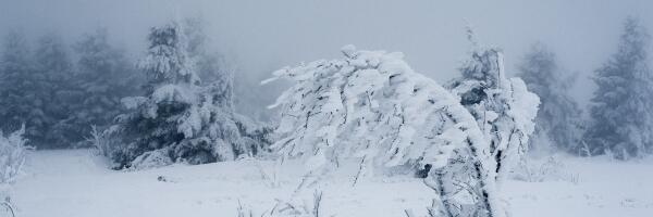 Оглашен приговор матери замерзшего зимой в Резекненском крае двухлетнего мальчика