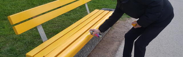 Нарвский пенсионер «спасает» скамейки от вандалов